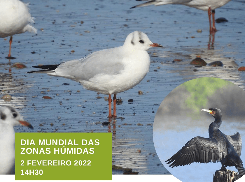 CMIA Vila do Conde celebra Dia Mundial das Zonas Húmidas
