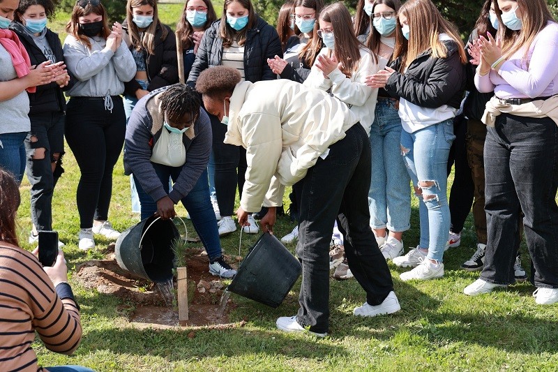 Escolas de Vila do Conde plantaram árvores no Dia Internacional das Florestas