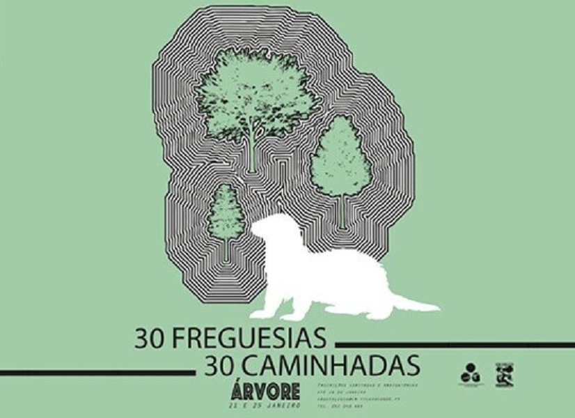 “Vila do Conde: 30 Freguesias – 30 Caminhadas” promove caminhadas na freguesia de Árvore