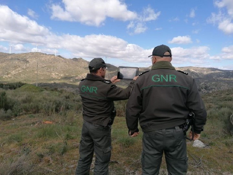 GNR reforça vigilância e fiscalização da floresta até ao fim de novembro