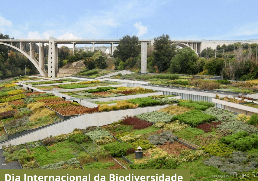 CMIA Vila do Conde assinala Dia Internacional da Biodiversidade