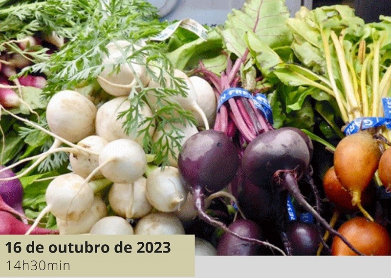 Alimentar Cidades Sustentáveis – palestra em Vila do Conde