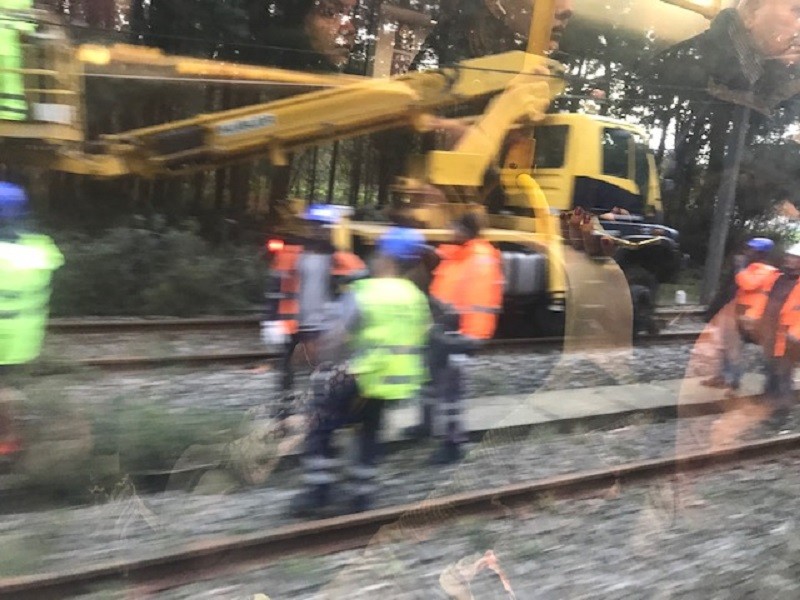 Árvore caída nos carris atrasa metros na linha da Póvoa