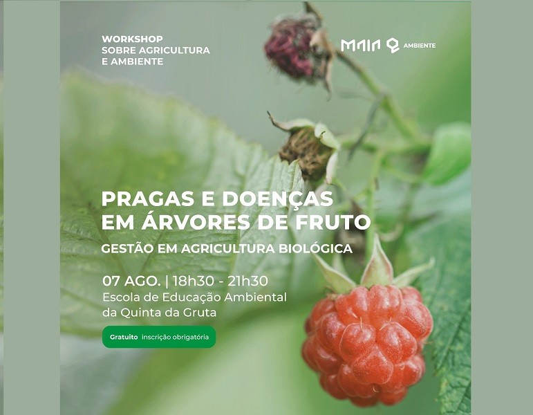 Quinta da Gruta na Maia recebe workshop