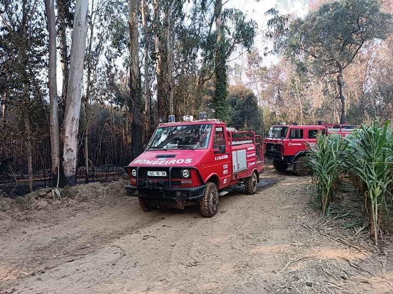 Mais de 4.400 operacionais combatiam cerca de 50 fogos às 08h00