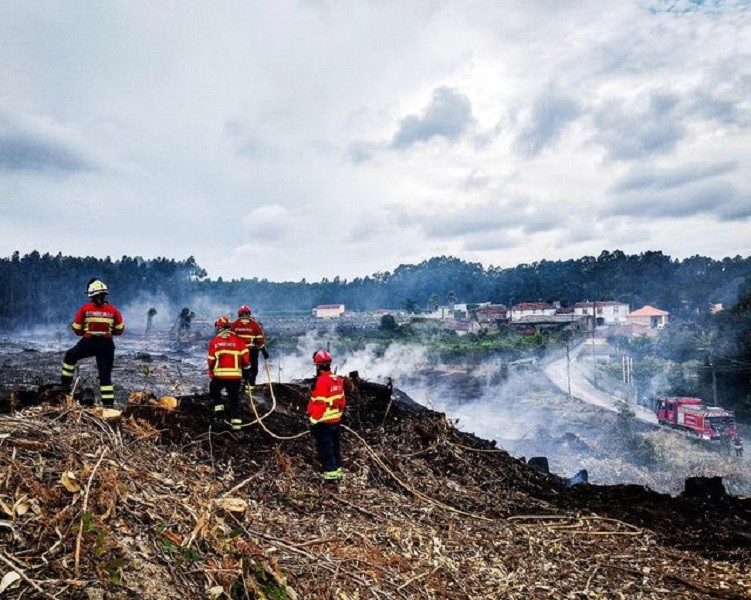 Mais de 121 mil hectares arderam em Portugal continental desde domingo