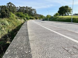Pai e filho apanhados com 300 mil euros durante fiscalização rodoviária em Vila do Conde