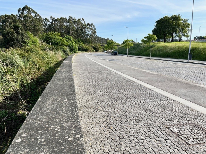 Pai e filho apanhados com 300 mil euros durante fiscalização rodoviária em Vila do Conde