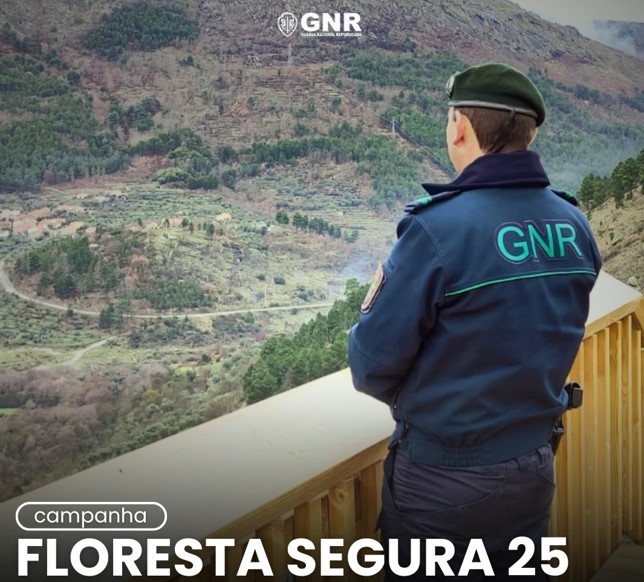 Ativados 80 postos de vigia na Campanha Floresta Segura 2025