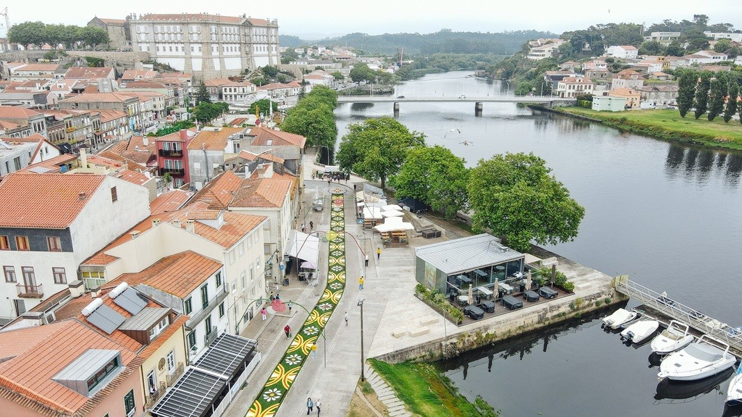 Cerca de 3 km de pétalas pelas ruas de Vila do Conde para o Corpo de Deus