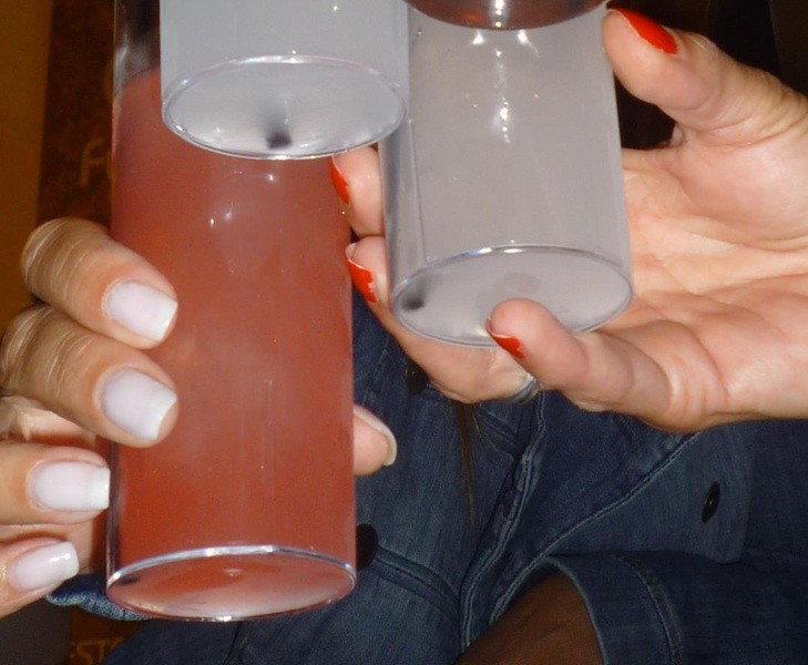 Porto proíbe a venda de álcool na rua à noite