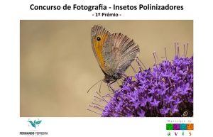 Fotógrafo de Vila do Conde premiado em Avis