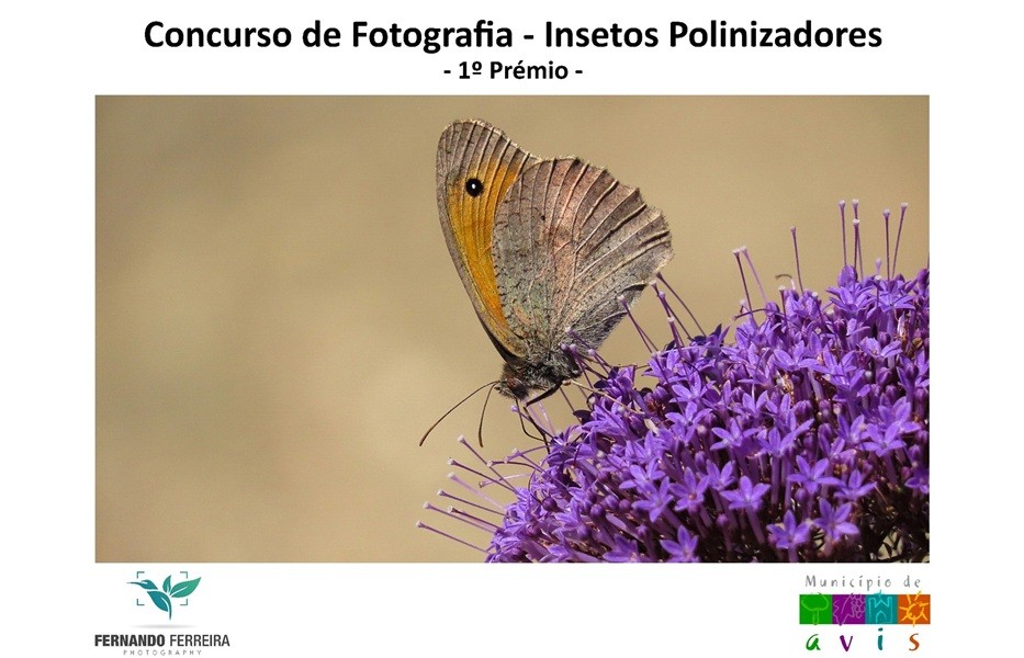 Fotógrafo de Vila do Conde premiado em Avis