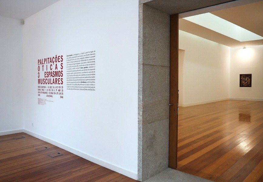 Galeria Julio prolongou Exposição “Palpitações óticas....”