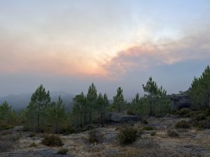 Estrada Nacional 108 cortada ao trânsito em Melres - Gondomar