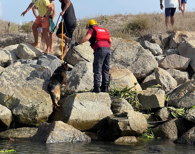 Cão resgatado da água na foz do rio Ave em Vila do Conde