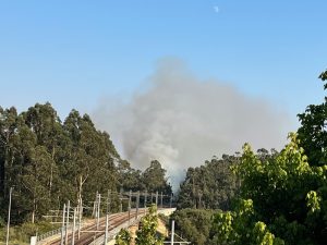 Focos de incêndios em Vila do Conde