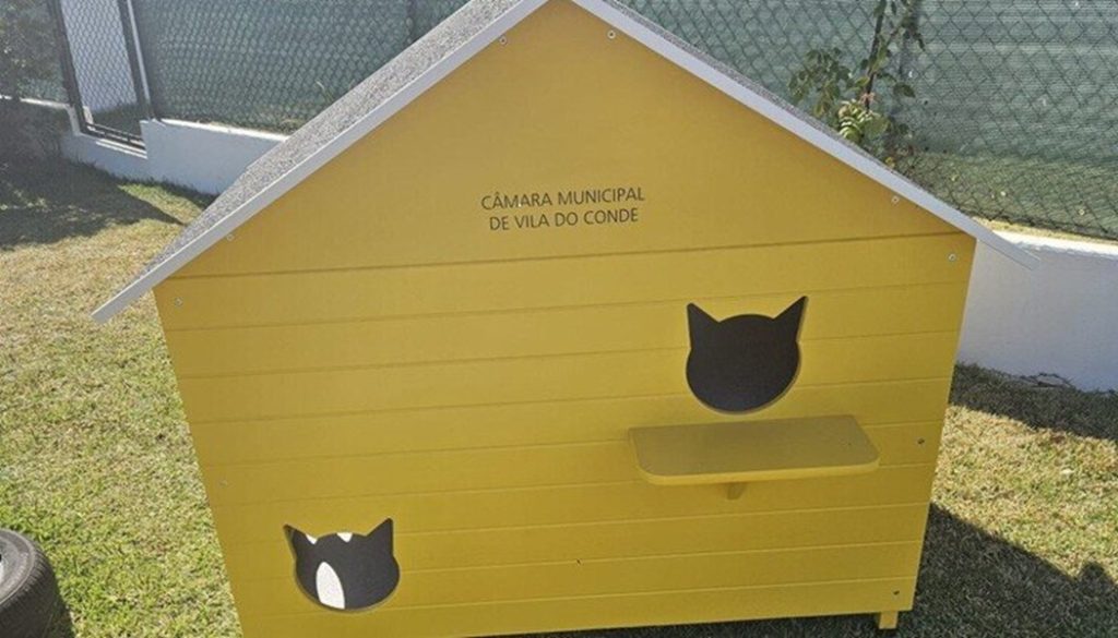 Vila do Conde instalou novos abrigos de alimentação para gatos
