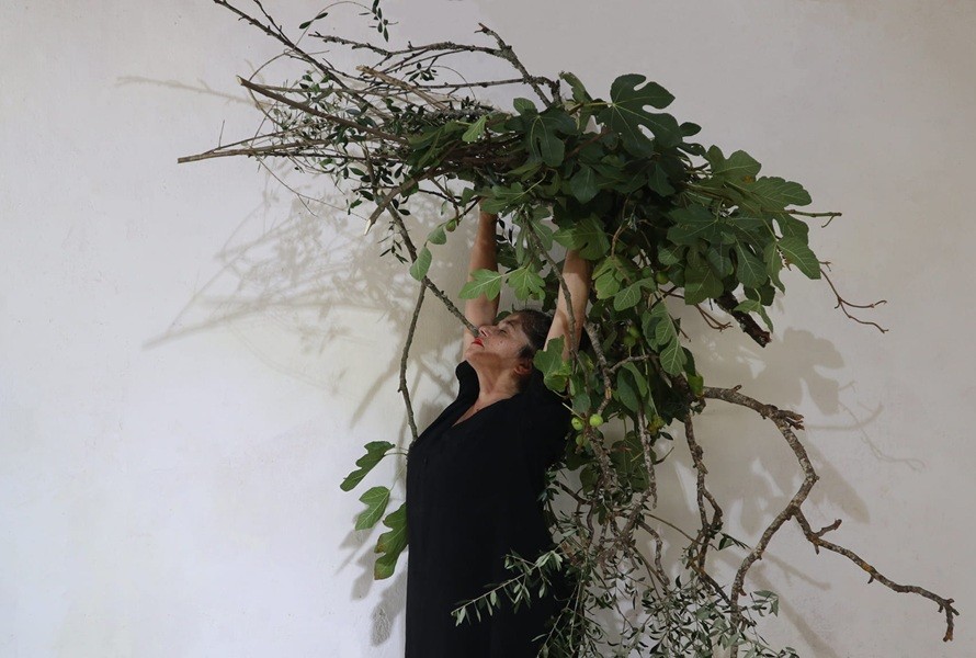 Circular Festival de Artes Performativas de Vila do Conde vai para a 21.ª edição
