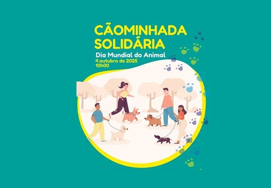 “Cãominhada Solidária” em Vila do Conde para assinalar Dia do Animal