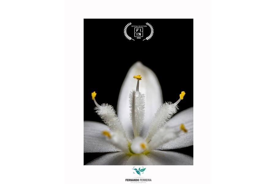 Foto do vilacondense Fernando Ferreira finalista do FIIN 2025