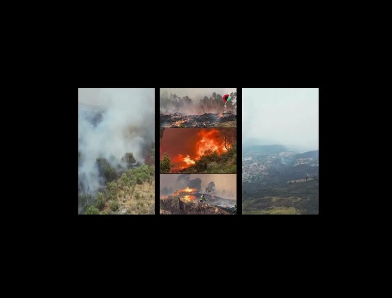 Gala do Encontro Internacional de Palhaços reverteu para artistas afetados pelo incêndio