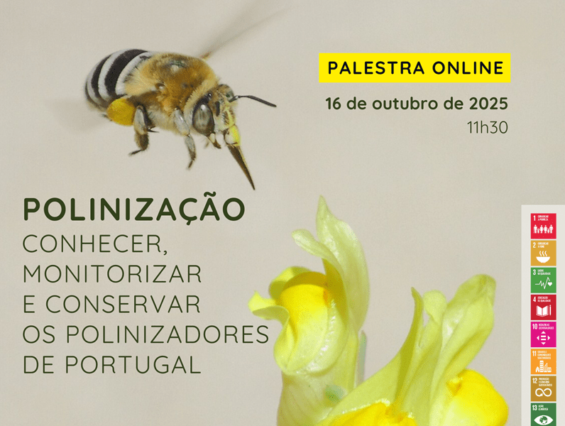 CMIA celebra Dia da Alimentação com palestra sobre polinizadores