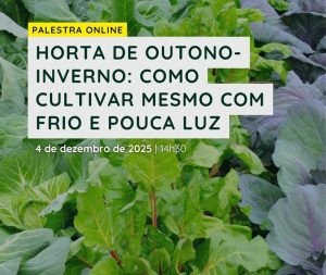 CMIA assinala Dia Mundial do Solo com palestra online