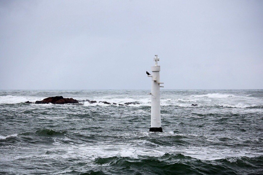 Vila do Conde vai distribuir cerca de meio milhão por pescadores em dificuldade